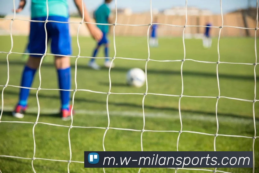 米兰体育APP 封面图